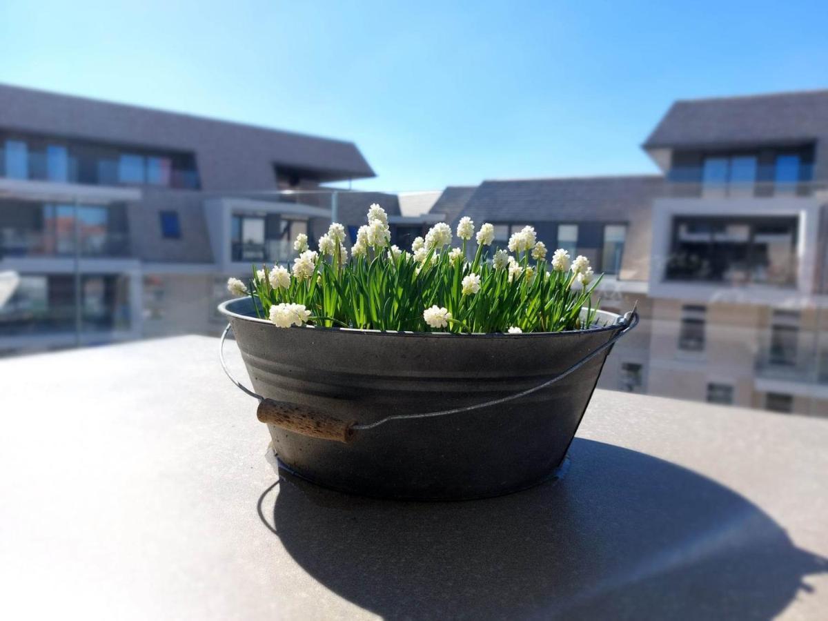 Villa Creole 0308 Luxe Appartement Met Verwarmd Zwembad Nieuwpoort Jachthaven ภายนอก รูปภาพ