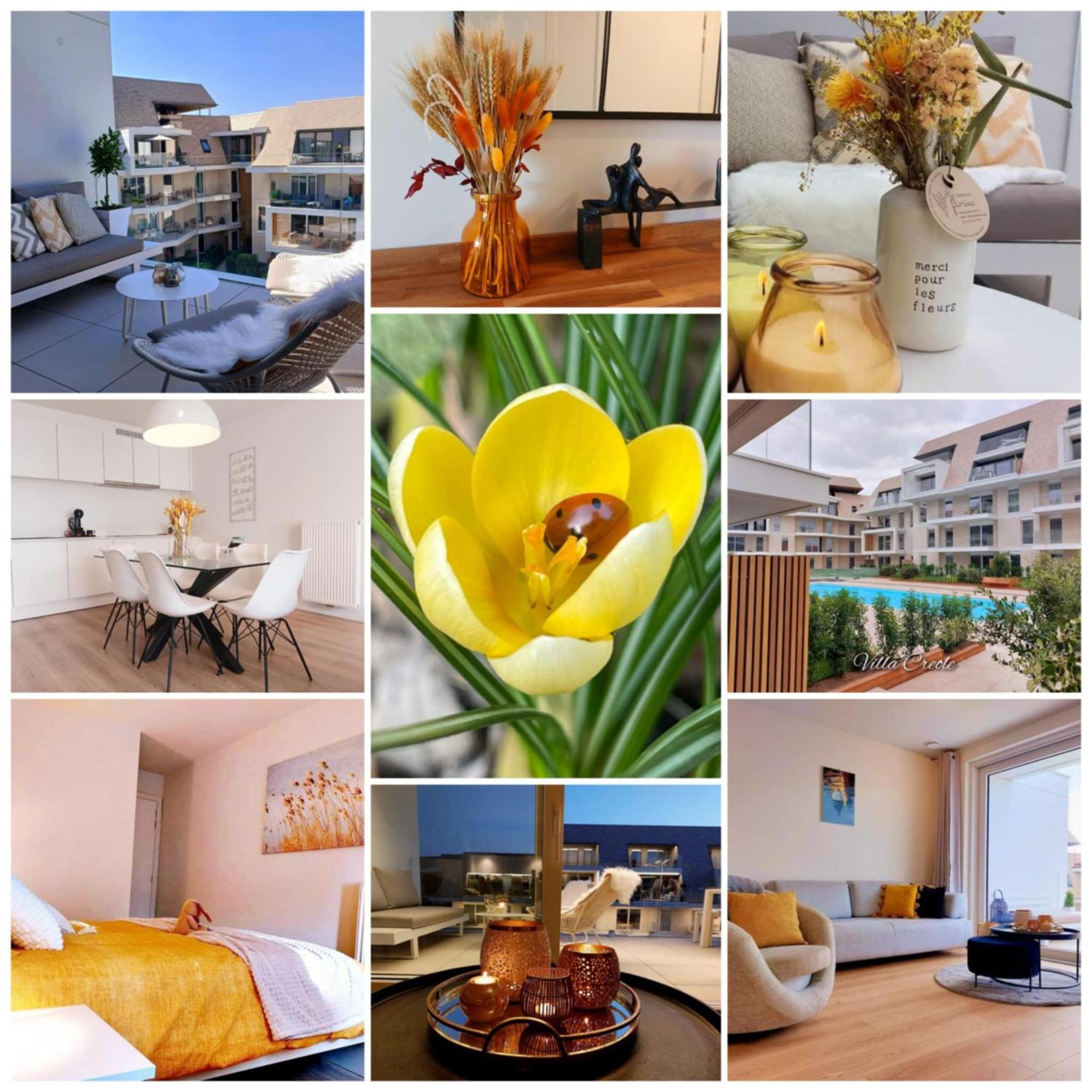 Villa Creole 0308 Luxe Appartement Met Verwarmd Zwembad Nieuwpoort Jachthaven ภายนอก รูปภาพ
