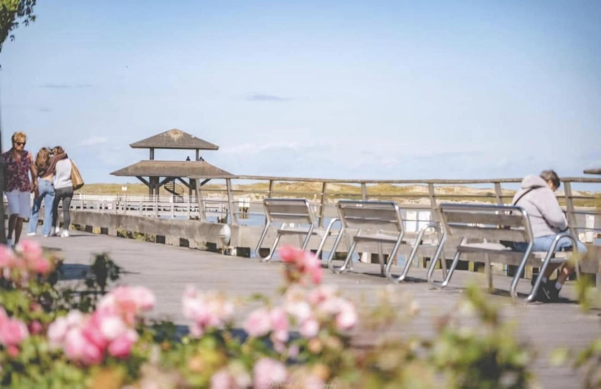 Villa Creole 0308 Luxe Appartement Met Verwarmd Zwembad Nieuwpoort Jachthaven ภายนอก รูปภาพ